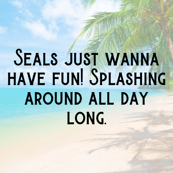 Seal Captions Photo For Instagram-KpUIf3