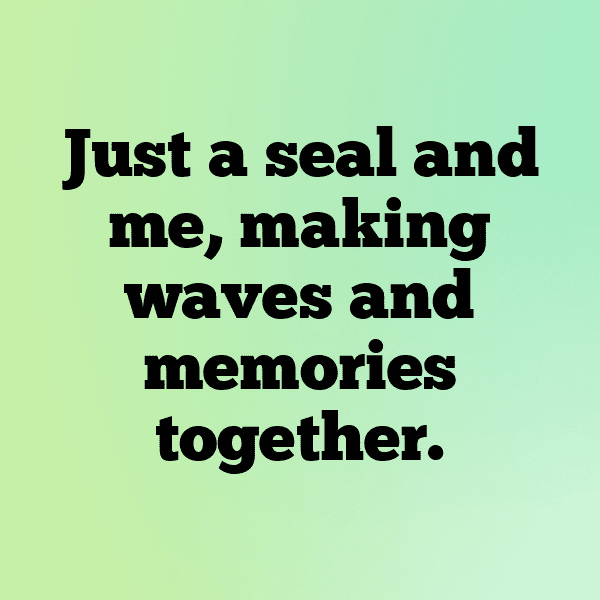 Seal Captions Photo For Instagram-TIVzMM