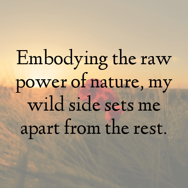 Seal Captions Photo For Instagram-xtStNU