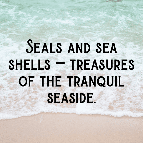 Sealion Captions Image For Instagram-3ruOV5