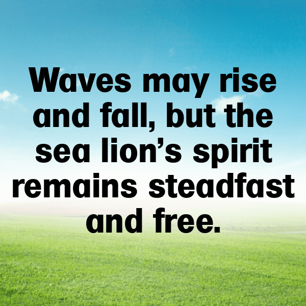 Sealion Captions Image For Instagram-DI8qyA