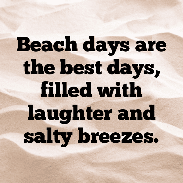 Sealion Captions Image For Instagram-pheHxV