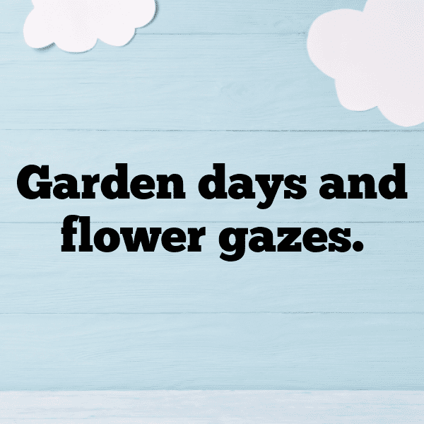 Secret Garden Captions Photo for Instagram-FQEHcD