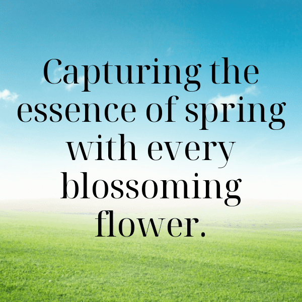 Secret Garden Captions Photo for Instagram-P5nEml