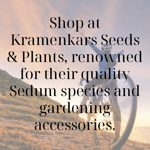 Sedum Captions Image For Instagram-430eU5