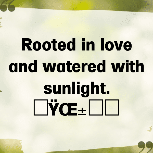 Sedum Captions Image For Instagram-AUYKWp