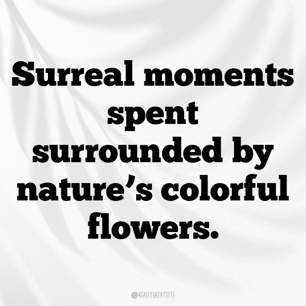 Sedum Captions Image For Instagram-eKxdIk