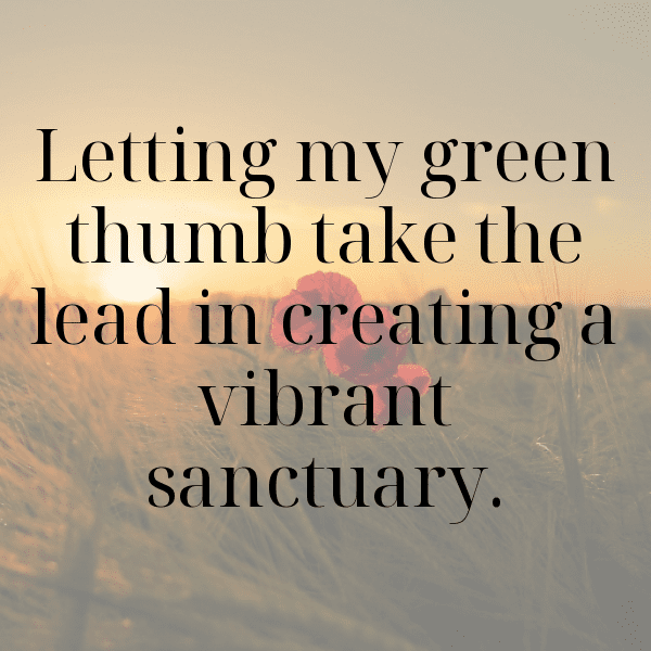 Sedum Captions Photo For Instagram-5QmZXW