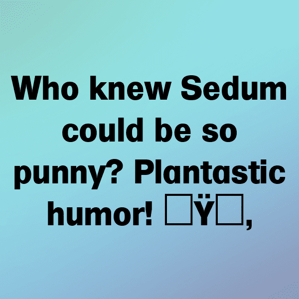 Sedum Captions Photo For Instagram-m1dut8