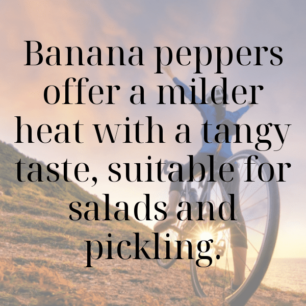 Serrano Pepper Captions Image For Instagram-wHbY2Z