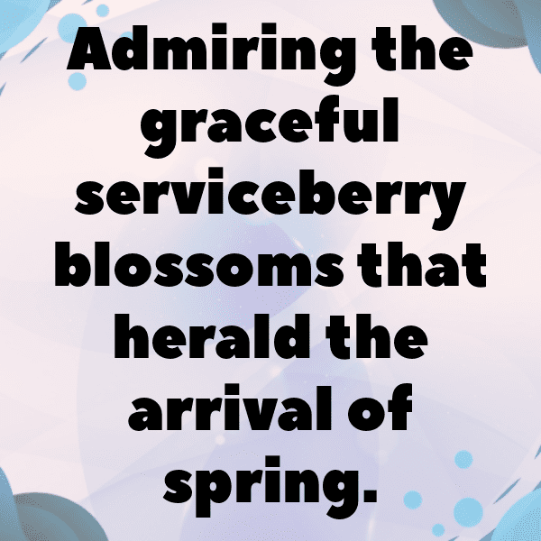 Serviceberry Captions Image For Instagram-E0I5gu