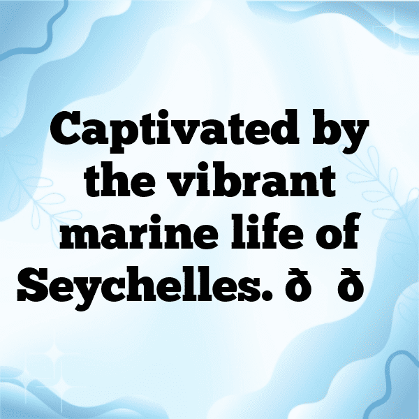 Seychelles Captions Photo For Instagram-MEjQMC