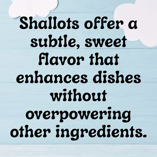 Shallot Captions Image For Instagram-OVKbth