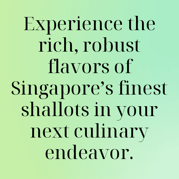 Shallot Captions Image For Instagram-sveLqU