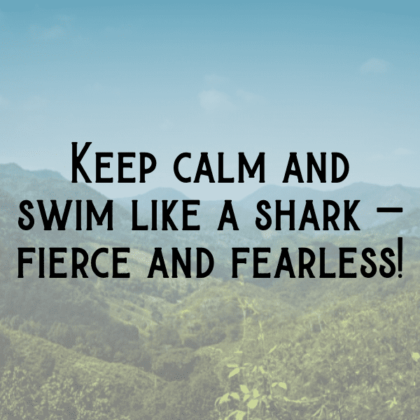 Shark Captions Image For Instagram-1XrGVW