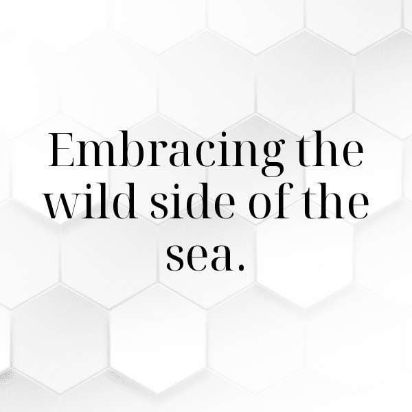 Shark Captions Image For Instagram-5Y26op