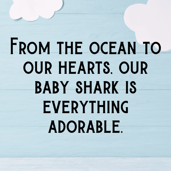 Shark Captions Image For Instagram-tugB1M