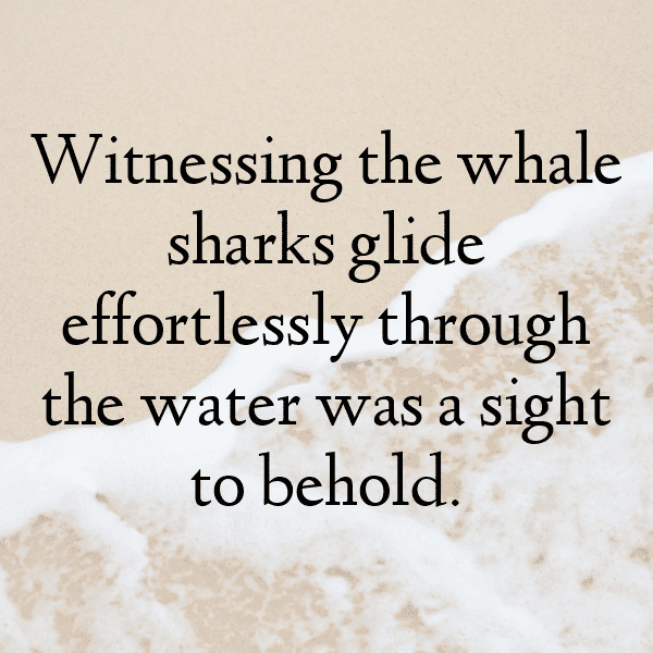 Shark Captions Image For Instagram-XOTLKH