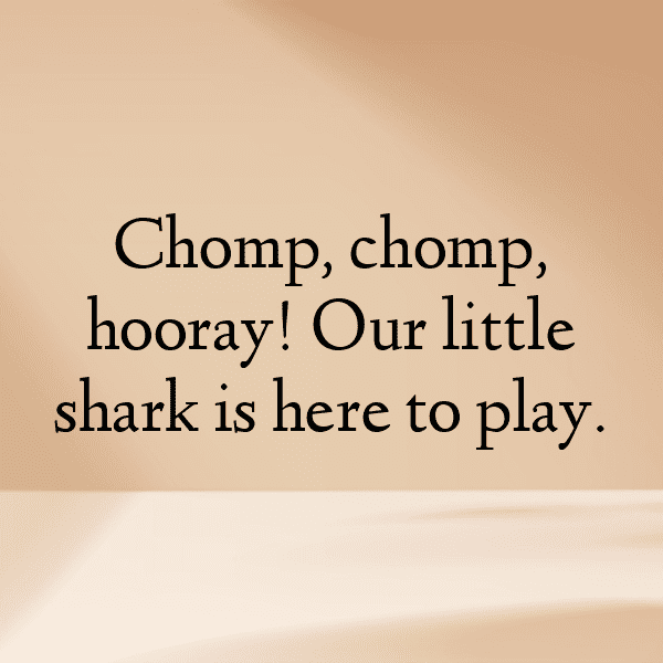 Shark Captions Photo For Instagram-JIjpzZ