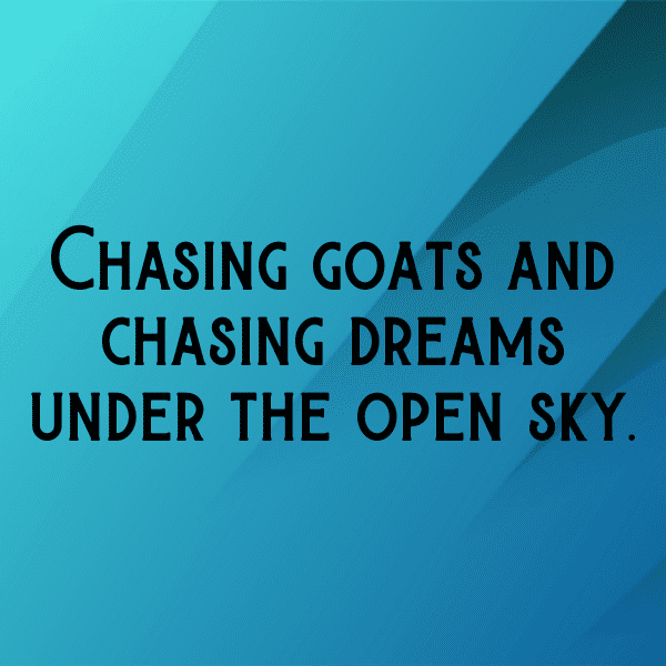 Sheep Captions Image For Instagram-nLpN8O