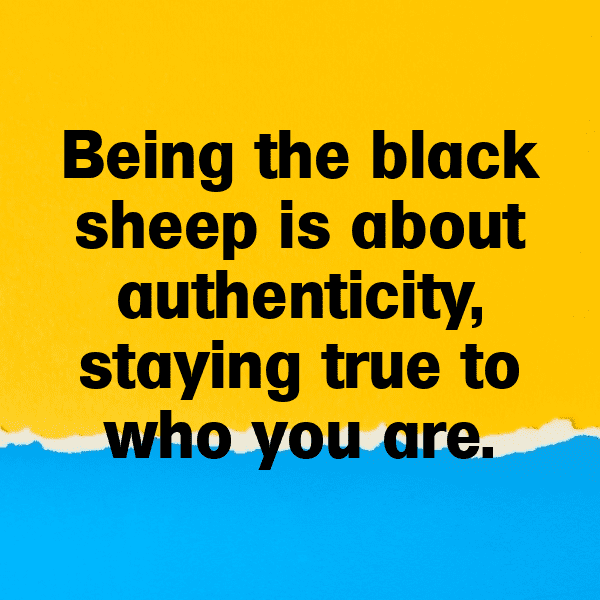 Sheep Captions Photo For Instagram-afsjni