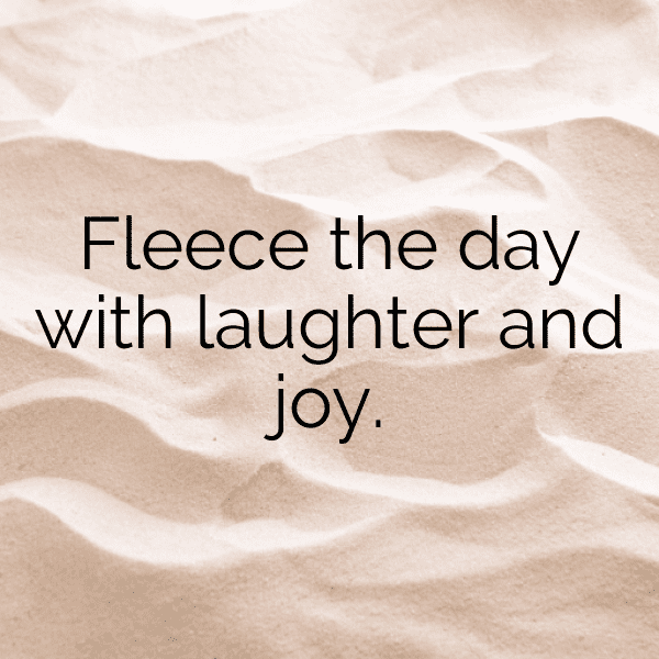 Sheep Captions Photo For Instagram-hETnr9