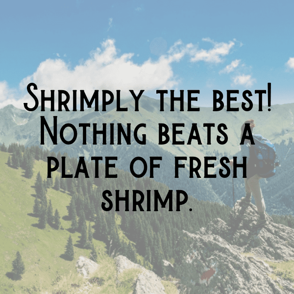 Shrimp Captions Image For Instagram-hu9RTU