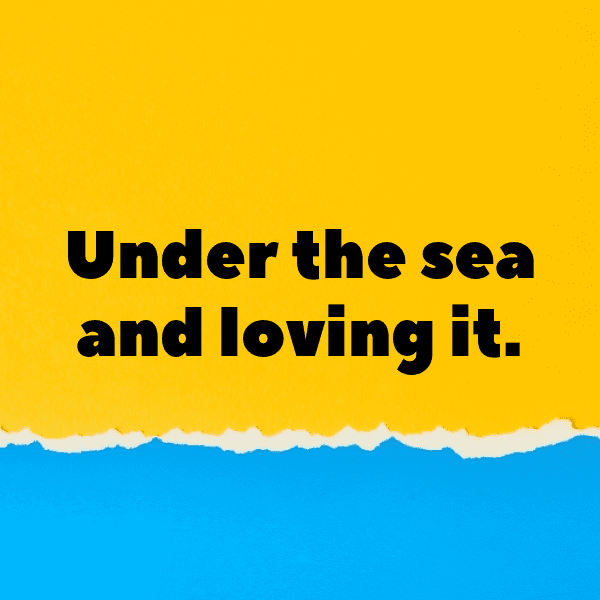 Shrimp Captions Image For Instagram-KIUnkz