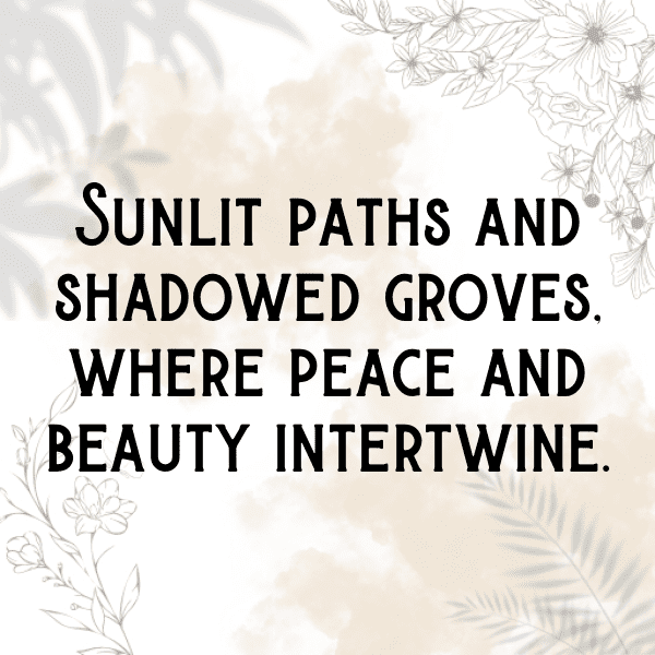 Silverberry Captions Image For Instagram-ubX9pA