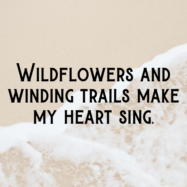 Silverberry Captions Image For Instagram-ZSnL9k