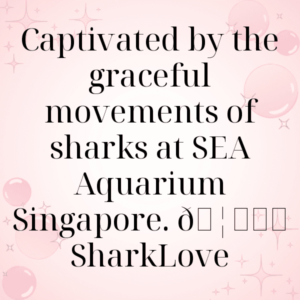 Singapore Captions Photo For Instagram-KCq1Hr