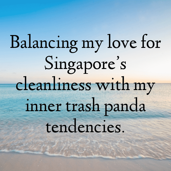 Singapore Captions Photo For Instagram-v37wqY