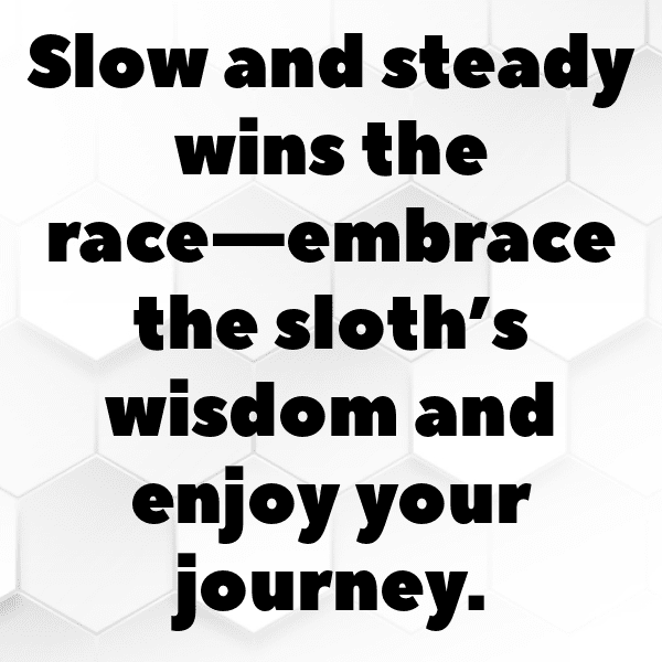 Sloth Captions Image For Instagram-MwVVVO