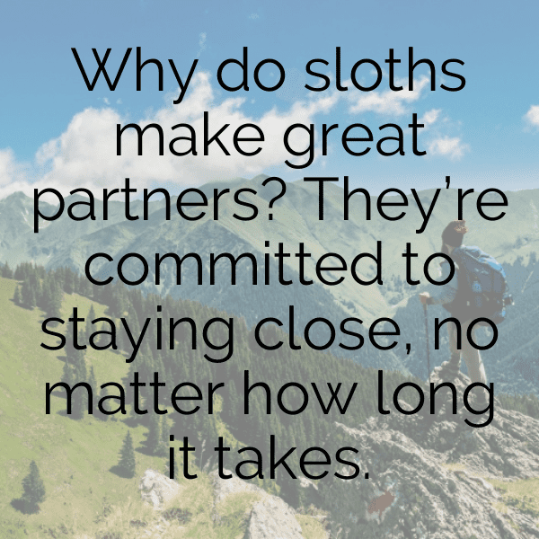 Sloth Captions Image For Instagram-sTEokg