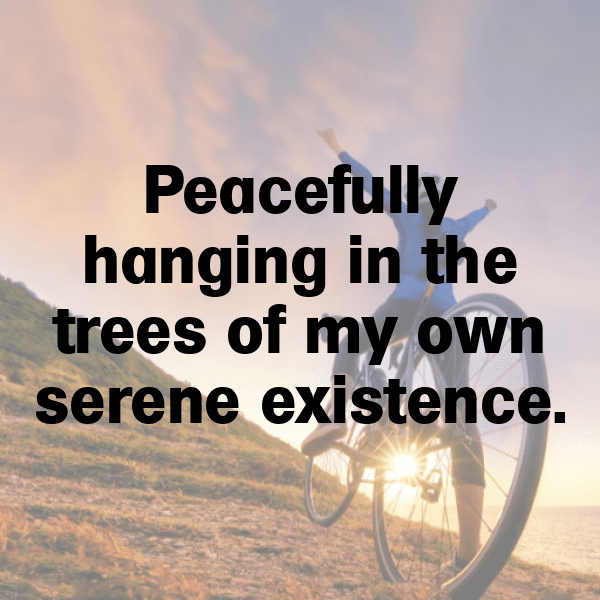 Sloth Captions Image For Instagram-YG6YcZ