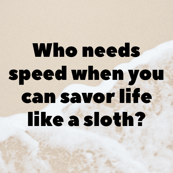 Sloth Captions Image For Instagram-zOQBJD