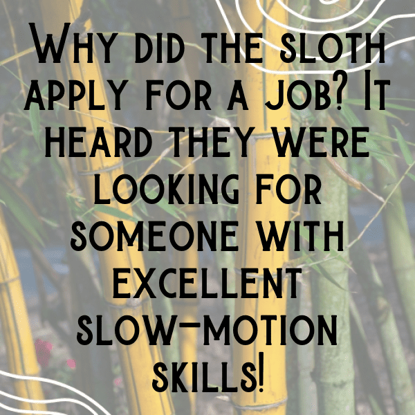 Sloth Captions Image For Instagram-ZOwEfO