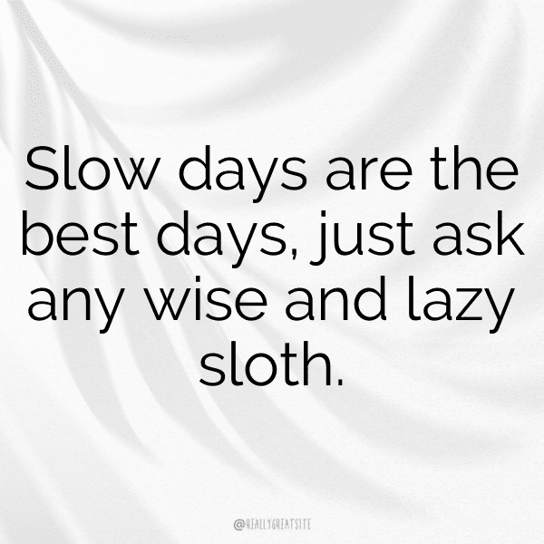 Sloth Captions Photo For Instagram-FFE1Ht