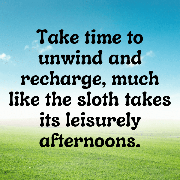 Sloth Captions Photo For Instagram-luNeXS