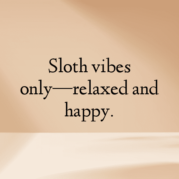 Sloth Captions Photo For Instagram-Mmw3HO