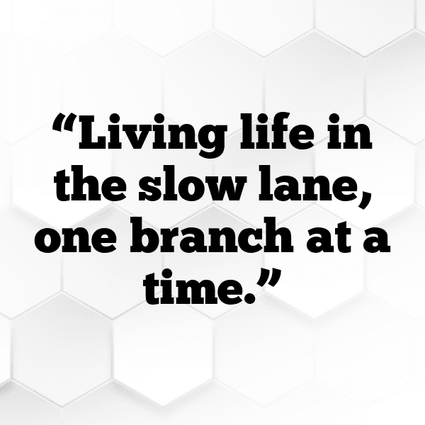 Sloth Captions Photo For Instagram-nJ1tbp