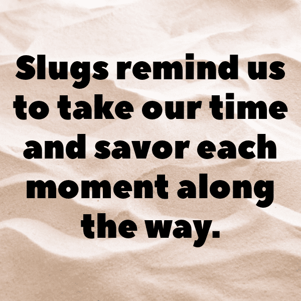 Slug Captions Photo For Instagram-YZfDQc