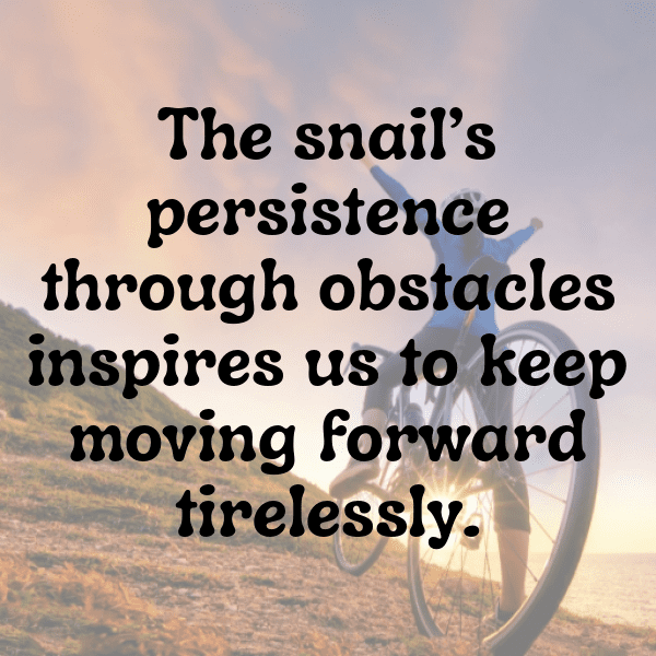 Snail Captions Image For Instagram-NRreph