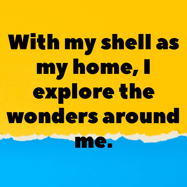 Snail Captions Photo For Instagram-AbEicK