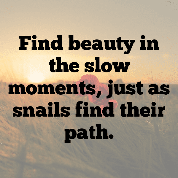 Snail Captions Photo For Instagram-q8KUrR