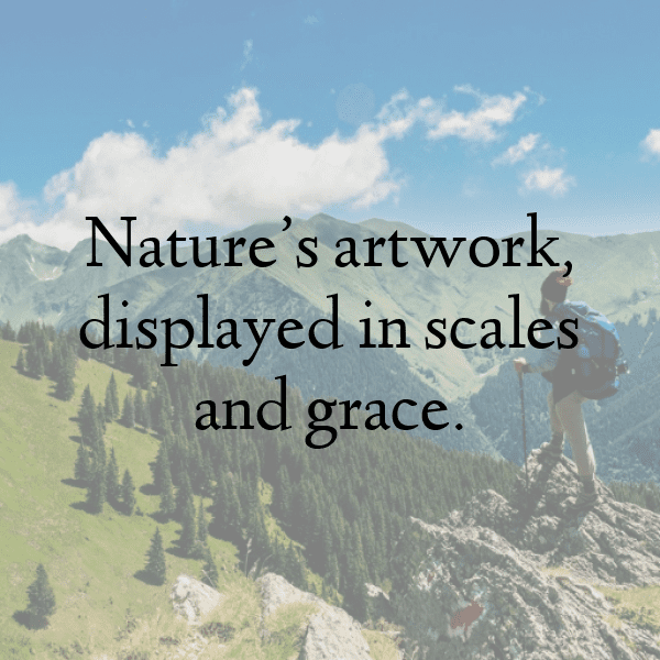 Snake Captions Image For Instagram-BOy80U