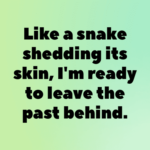 Snake Captions Image For Instagram-TWXqgf
