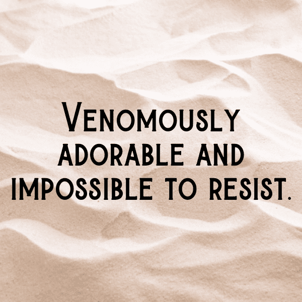 Snake Captions Photo For Instagram-DY7110