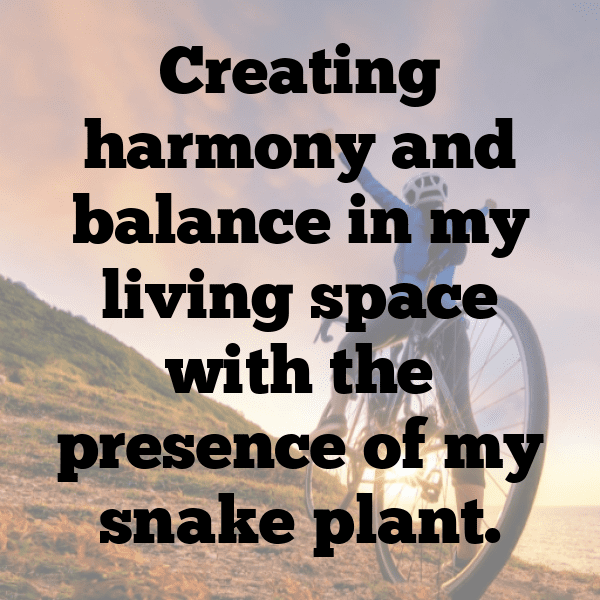 Snake Captions Photo For Instagram-kJtiqs