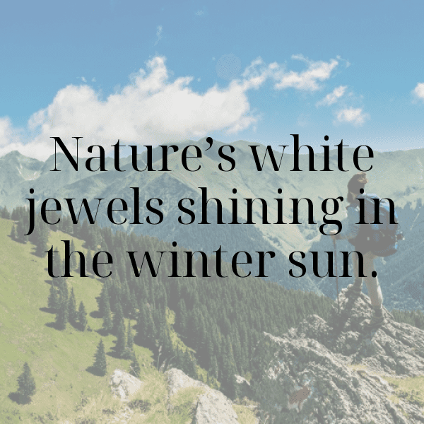 Snowberry Captions Photo For Instagram-ArqjBv